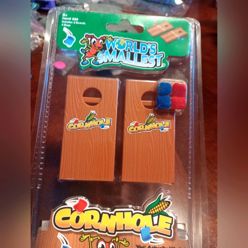 World's Smallest CORN HOLE Bean Bag Toss Board Game Toy Doll House Miniature